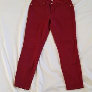 Maroon ankle length pants